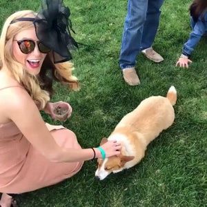 Meet your Posher, Ellen